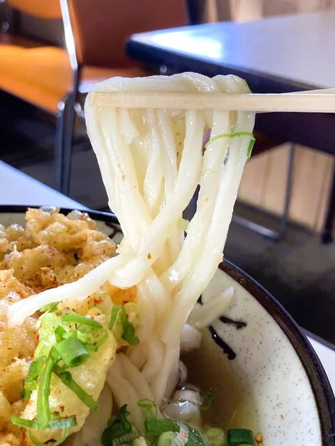 さぬきうどん - 東塩釜（うどん）の写真