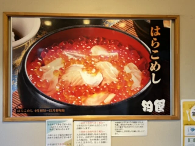 田園 山元店 - 山下（海鮮）の写真