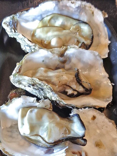 ゴザイン（Gozainn） - 女川（シーフード）の写真