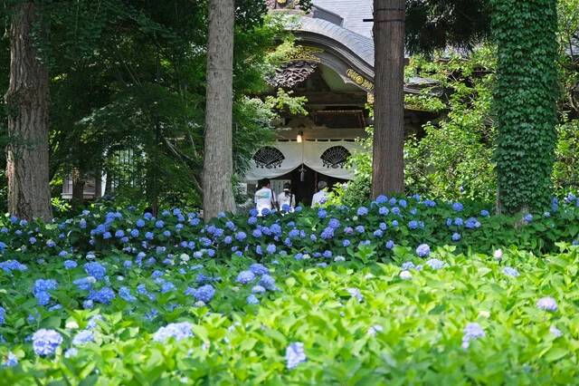 ラ&bull;ポルトブランシュ - 中央弘前（フレンチ）の写真