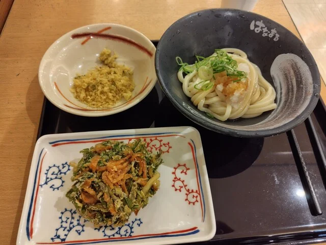 はなまるうどん 泉パークタウンタピオ店 - 泉中央（うどん）の写真