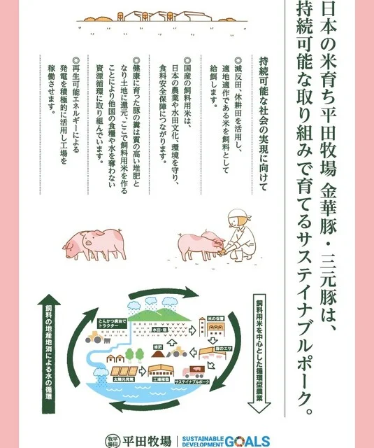 とんかつと豚肉料理 平田牧場 tekuteせんだい店 - 仙台（とんかつ）の写真