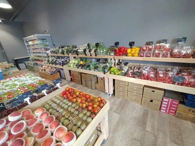 3007 Piu - 美田園（カフェ）の写真