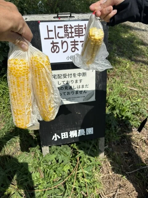 小田桐農園 - 岩木町その他（その他）の写真