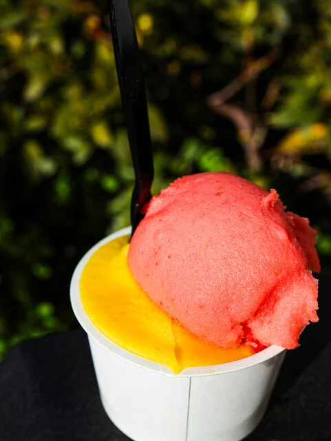 ジェラーティ ブリオ（GELATI BRIO） - 青葉通一番町（ジェラート・アイスクリーム）の写真