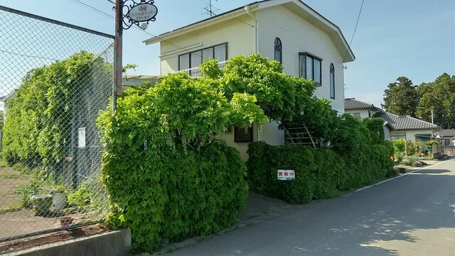 スリランカセンター - 館腰（スリランカ料理）の写真