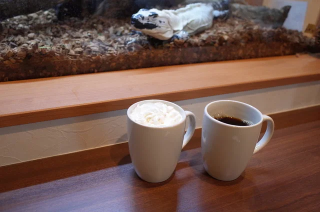 ショップアンドカフェ ジュラのモリ（shop & cafe ジュラの杜） - 中野栄（カフェ）の写真