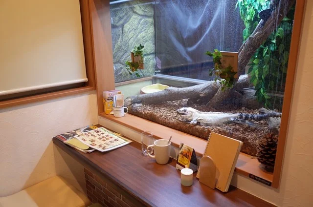 ショップアンドカフェ ジュラのモリ（shop & cafe ジュラの杜） - 中野栄（カフェ）の写真