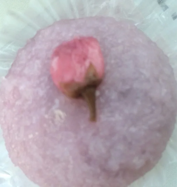 セブンイレブン 亘理荒浜店 - 亘理（コンビニ・スーパー）の写真