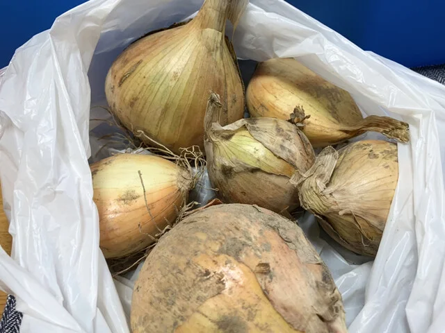 菅井農園 - 美田園（その他）の写真