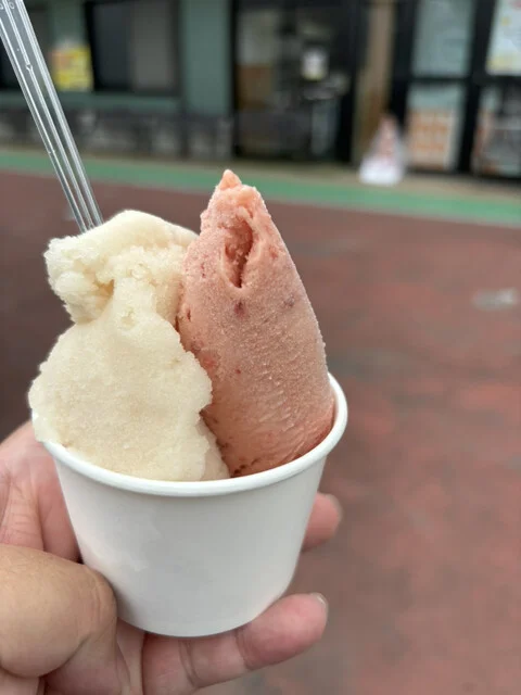 aladate Gelato & PIZZA（アラダテ ジェラート & ピッツァ） - 池月（ジェラート・アイスクリーム）の写真