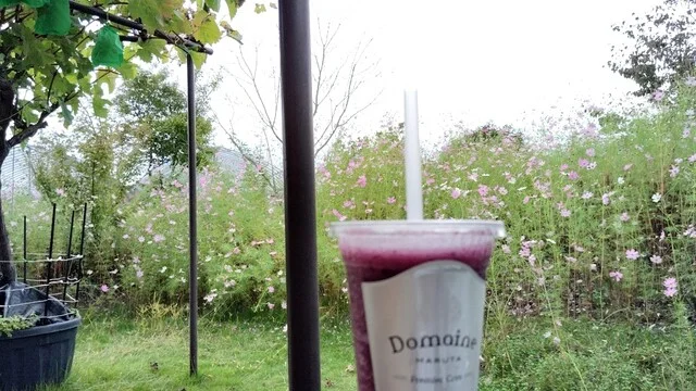 アンテナショップ 葡萄の杜 まるた - 山下（ジューススタンド）の写真