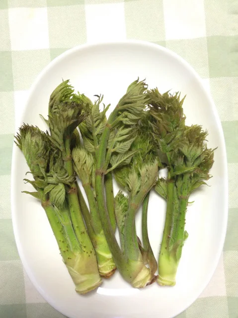 小室わさび屋 - 東白石（その他）の写真