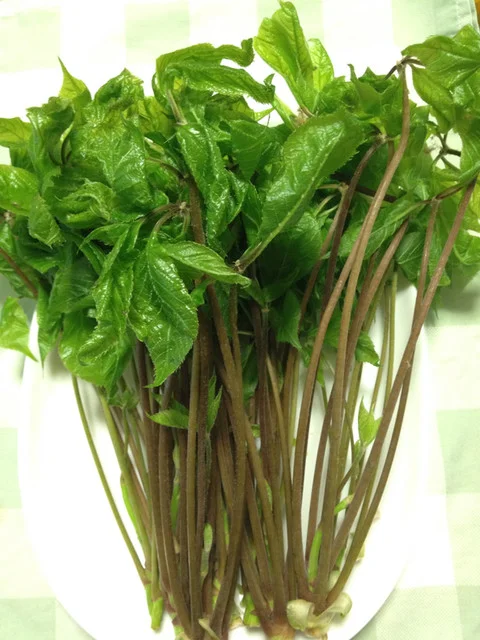 小室わさび屋 - 東白石（その他）の写真