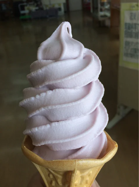 道の駅米山 ふる里センターY・Y - 登米市その他（道の駅）の写真