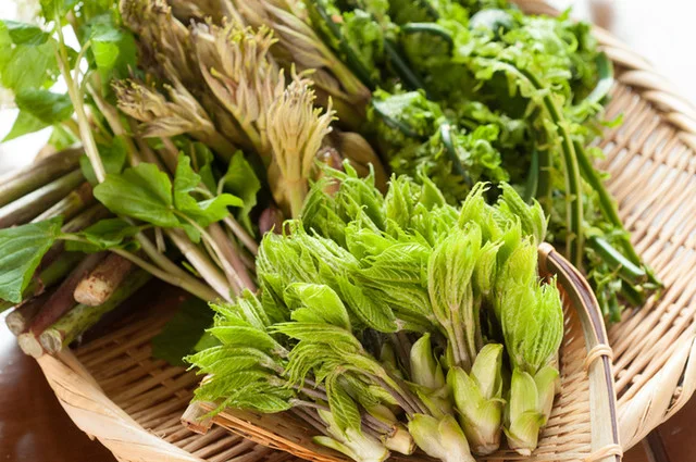 お食事処ぶなしずく(谷地温泉) - 八甲田山（そば）の写真