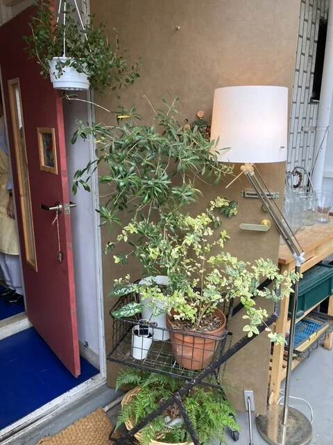 Soup（スープ） - 広瀬通（スープ）の写真