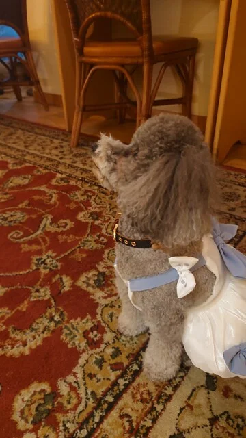 大介の店（【旧店名】Babi からむし） - 青森（ダイニングバー）の写真