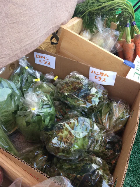 自然農園MITU畑deマルシェ（しぜんのうえんみつ ハタケデマルシェ） - 陸前高砂（その他）の写真