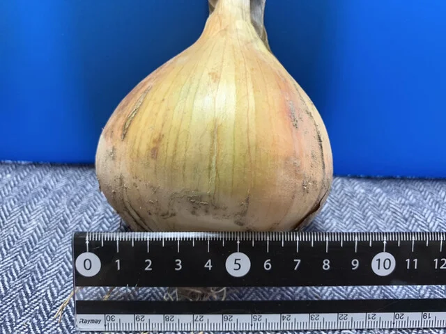 菅井農園 - 美田園（その他）の写真