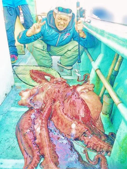 沖縄ぬ隠れ家 NI-NI 長島店（ニーニー） - 青森（居酒屋）の写真