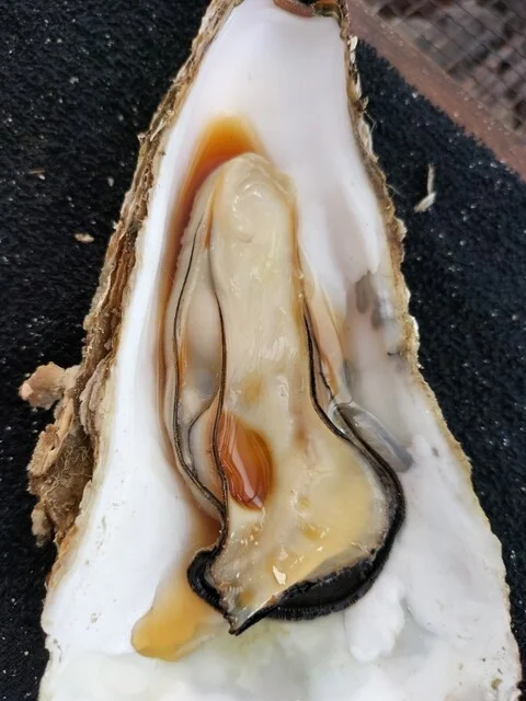 牡蠣小屋 仙台泉 - 仙台市泉区その他（海鮮）の写真