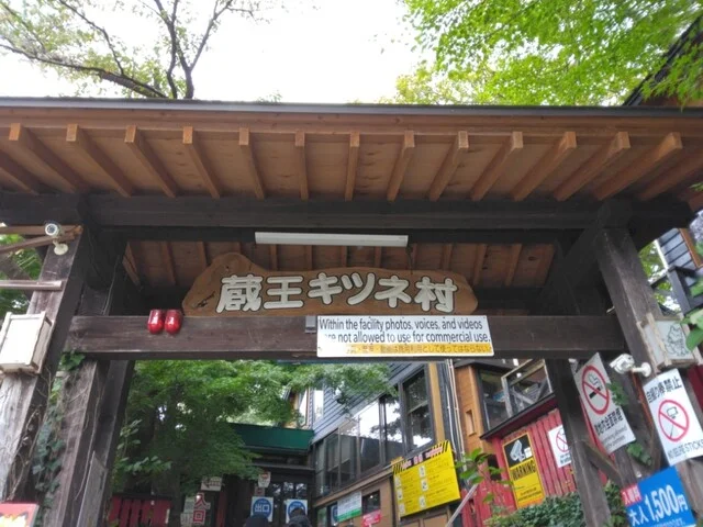 宮城蔵王 きつね村（MIYAGIZAO きつね村） - 白石（その他）の写真