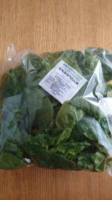 JAグリーン みやぎ登米 - 登米市その他（その他）の写真