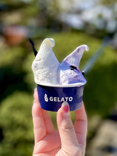 &Tomiya Gelato（アンド トミヤ ジェラート） - 富谷町その他（ジェラート・アイスクリーム）の写真