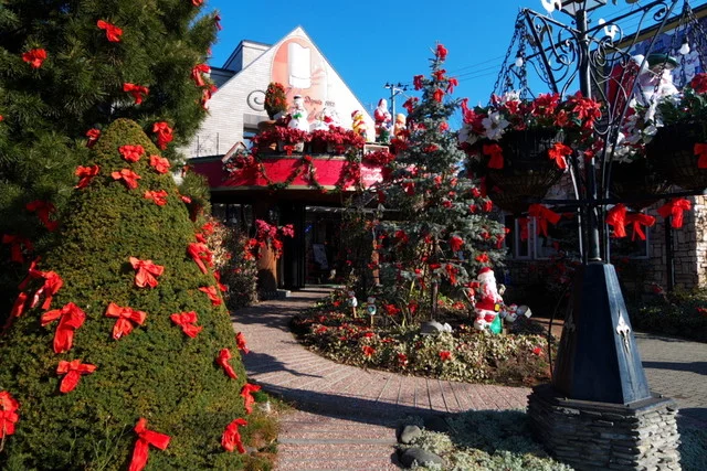 アルパジョン 湊高台店 - 白銀（ケーキ）の写真