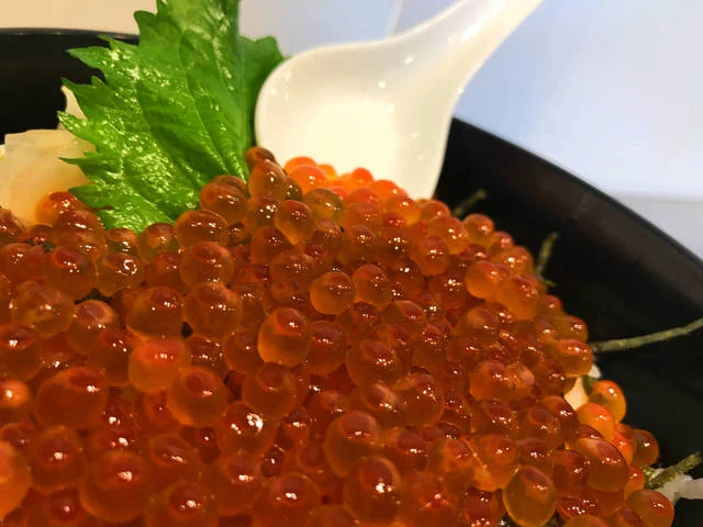 陽だまりレストラン - 大谷海岸（食堂）の写真