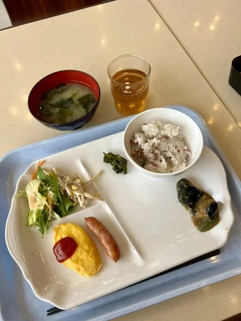 東横INN 新青森駅東口（東横イン） - 新青森（ホテル）の写真