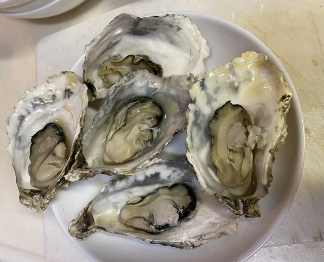 松島地区漁業組合 生かき直売所 - 松島（その他）の写真