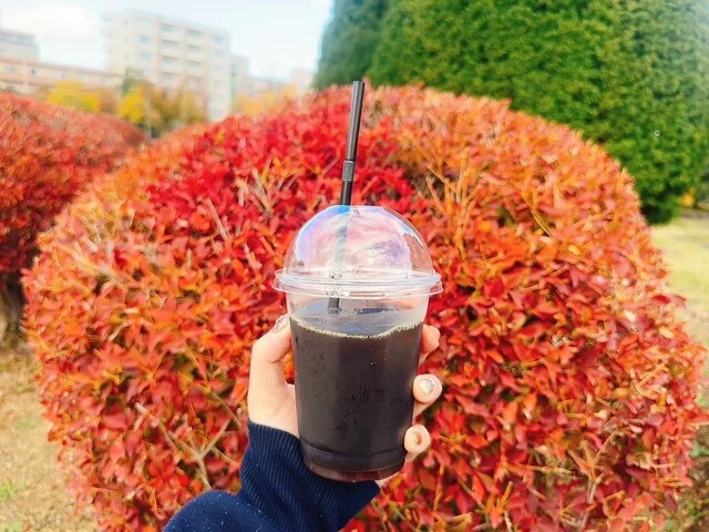 七北田公園軽食喫茶 カスヴィ カフェ（kasvi cafe） - 泉中央（カフェ）の写真