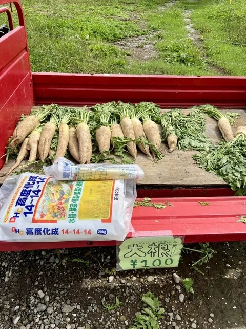 柳田とうもろこし店 - 岩木町その他（その他）の写真