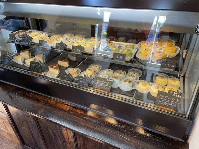 ミモザ チーズケーキ（MIMOSA CHEESECAKE） - 南仙台（ケーキ）の写真