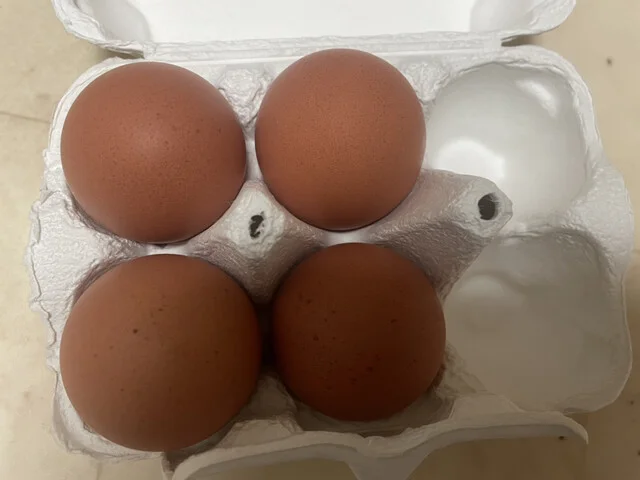 しんとろの湯 - 中山平温泉（ジェラート・アイスクリーム）の写真