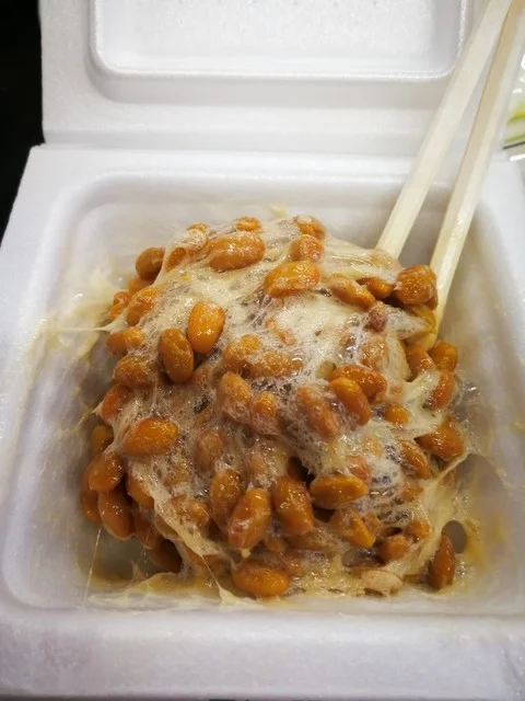 公園の中の宿 ロマン館 - 田尻（旅館・民宿）の写真