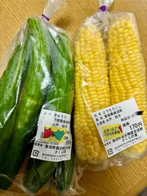 船岡城址公園 さくらの里 - 船岡（その他）の写真