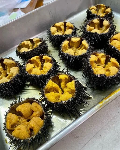 金華山 高野商店（キンカサン タカノショウテン） - あおば通（その他）の写真