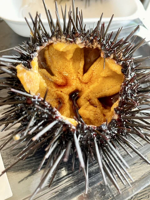 片倉商店 ハマテラス店 - 女川（その他）の写真