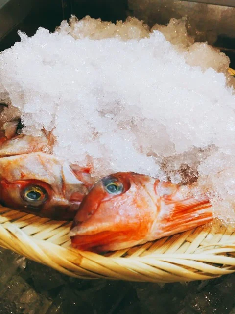 陽のあたる処居酒屋 SAR&rdquo;U（ヒのあたるトコロイザカヤ サル） - 泉中央（居酒屋）の写真