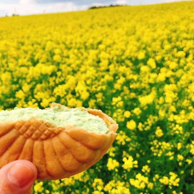 ひまわりの丘 売店 - 古川（その他）の写真