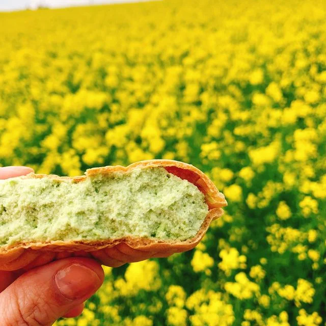 ひまわりの丘 売店 - 古川（その他）の写真