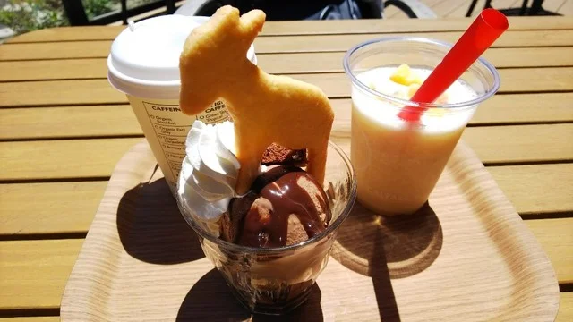 グーグーテラス（Good Gout terrace） - 八木山動物公園（ピザ）の写真