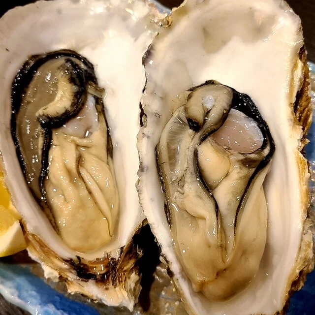 居酒屋 KIMU家 六日町店 - 本八戸（居酒屋）の写真