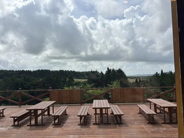 レストランわらび - 津軽中里（食堂）の写真