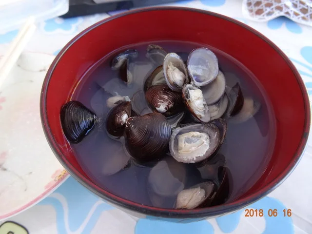 十三湖しじみラーメンの店 とさや - 五所川原市その他（ラーメン）の写真