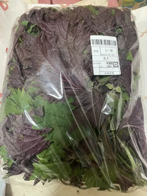 元気くん市場 仙台店 - 富谷町その他（その他）の写真