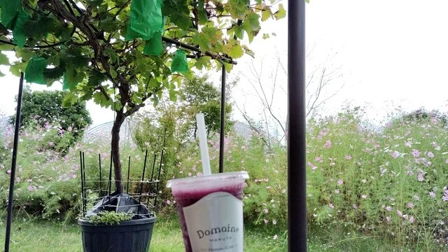 アンテナショップ 葡萄の杜 まるた - 山下（ジューススタンド）の写真